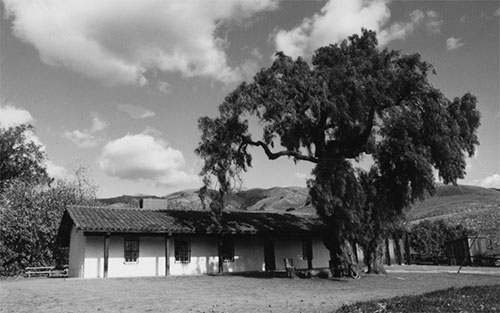 Higurra-Adobe